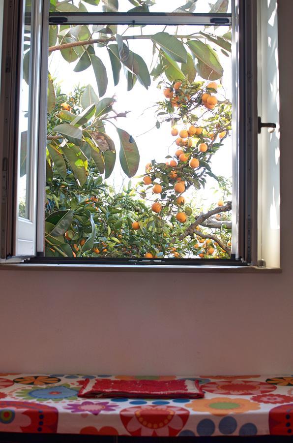 Bed and Breakfast Il Giardino Del Sole Roccarainola Екстер'єр фото